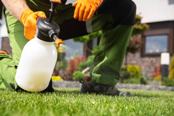 Best Pest Control Near Me in Hollis, OK