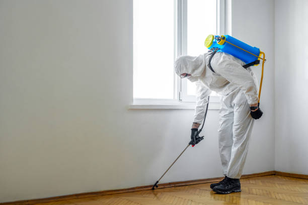 Best Commercial Pest Control Services  in Hollis, OK
