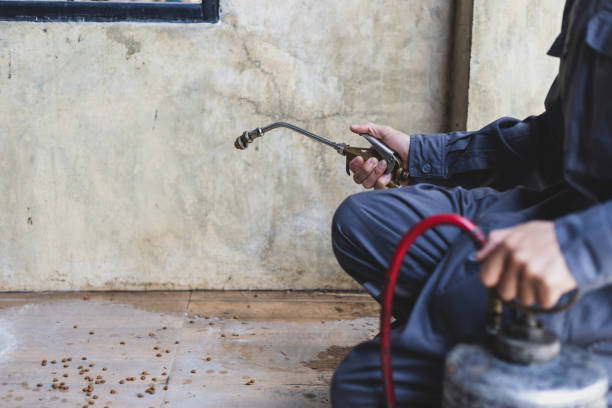 Pest Control Cost in Hollis, OK